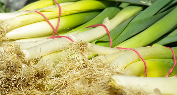 Tips Mudah Menanam Daun Bawang di Rumah