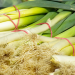 Tips Mudah Menanam Daun Bawang di Rumah