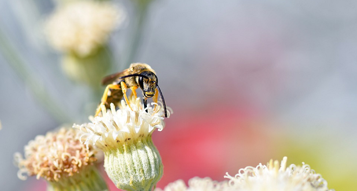 Dakwah dengan Keteladanan