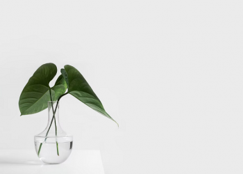 Apakah Cinta Dibolehkan Tumbuh Sebelum Menikah?