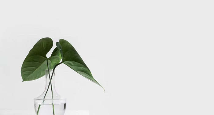 Apakah Cinta Dibolehkan Tumbuh Sebelum Menikah?