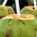 Manfaat Air Kelapa Tua untuk Kesehatan