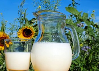 Tips Mencegah Osteoporosis Sejak Dini