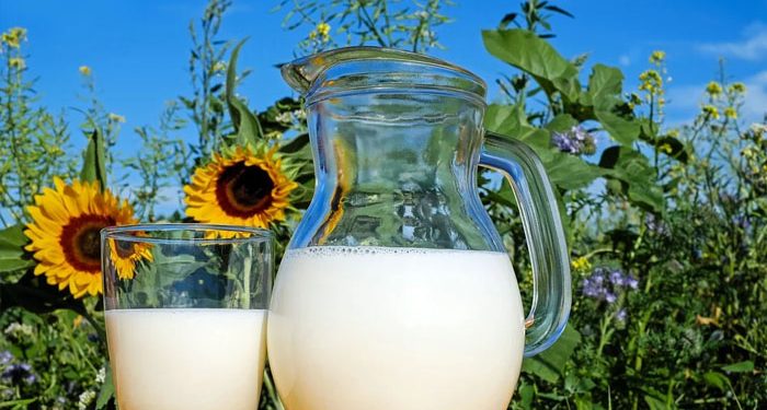 Tips Mencegah Osteoporosis Sejak Dini