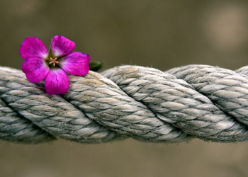 Sebelas Cara Suami Istri Menjaga Komitmen dalam Ikatan Pernikahan