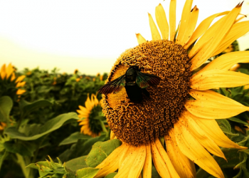 5 Bantuan Orang Tua yang Dibutuhkan Anak Remaja