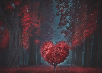 8 Cara Mengatasi Rasa Kecewa pada Pasangan