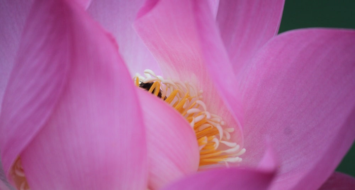 Suami Istri Menjadi Pribadi yang Simpatik