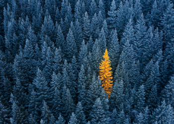 9 Cara Menjadi Pribadi yang Menyenangkan