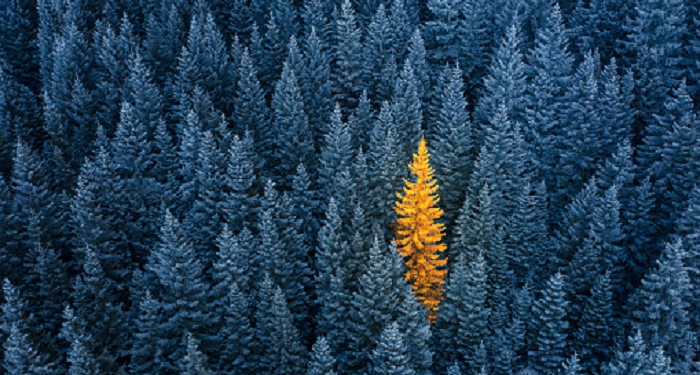 9 Cara Menjadi Pribadi yang Menyenangkan