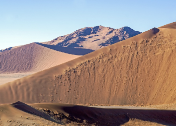 Zaid Bin Tsabit, Sahabat Remaja Hebat di Masa Rasulullah