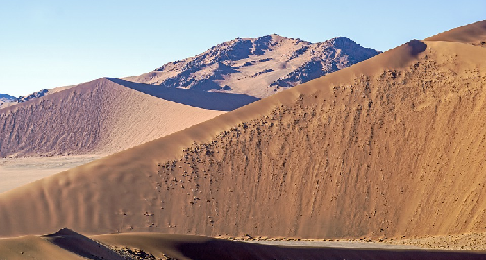 Zaid Bin Tsabit, Sahabat Remaja Hebat di Masa Rasulullah