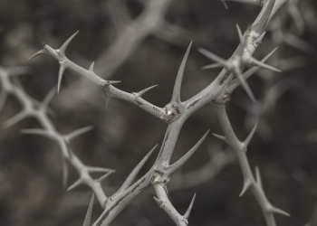 Sulitnya Orang Tua Menghadapi Pendidikan Anak Remaja