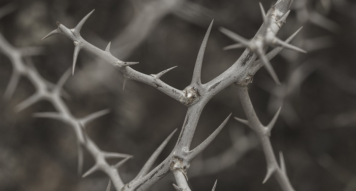 Sulitnya Orang Tua Menghadapi Pendidikan Anak Remaja