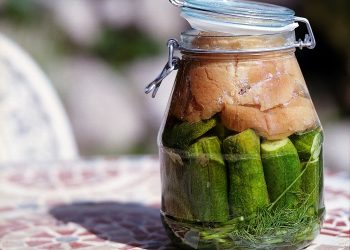 Dari Tape, Tempoyak sampai Yogurt, Ini 5 Manfaat Makanan Fermentasi bagi Kesehatan