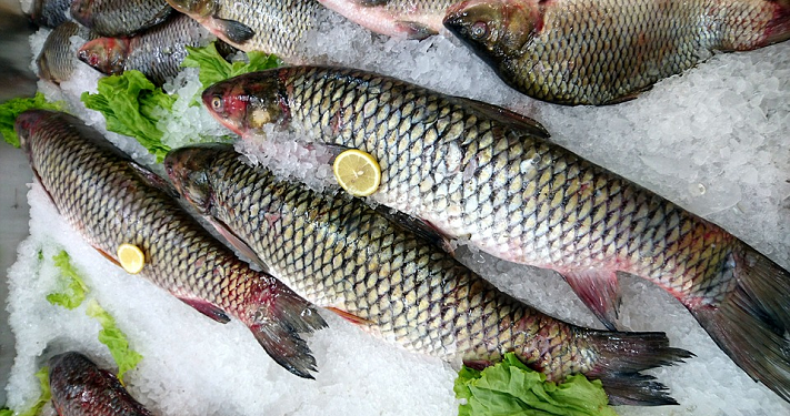 Jangan Lupa Terapkan, Ini 5 Langkah Mudah Memilih Ikan Segar