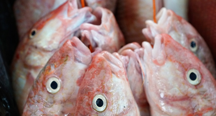 Tips Mengolah Kepala Ikan agar Tidak Berbau Amis