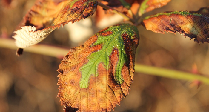 Perubahan Buruk yang Sering Terjadi di Masa Remaja Anak