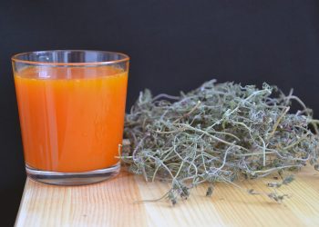 Detox Asam Urat dan Darah Tinggi dengan Rumput Laut