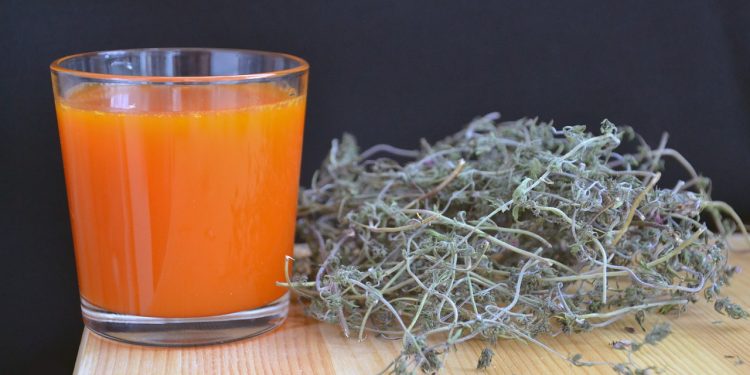 Detox Asam Urat dan Darah Tinggi dengan Rumput Laut