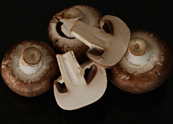 5 Jenis Jamur Lezat dan Populer Dimasak di Indonesia