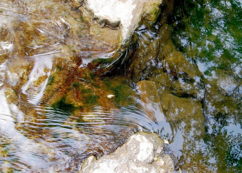 Agar Sukses, Ini 10 Bentuk Dukungan Istri kepada Suami