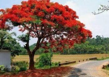 Alhamdulillah, Ada Berita Gembira