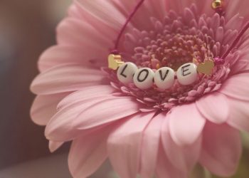 Pandangan Ulama Mengenai Hari Ibu