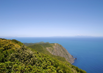 Rencanakan Liburan Keluarga Outdoor di Masa Pandemi, Perhatikan Lima Hal Ini Sebelum Berangkat