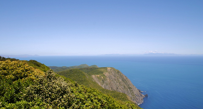 Rencanakan Liburan Keluarga Outdoor di Masa Pandemi, Perhatikan Lima Hal Ini Sebelum Berangkat