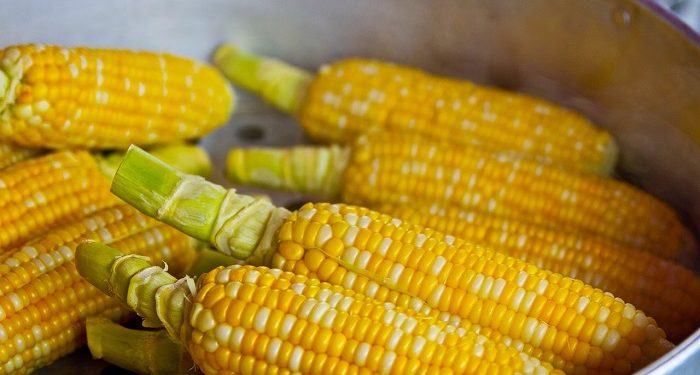 Masya Allah, Ini Kandungan Nutrisi Luar Biasa pada Jagung