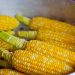 Masya Allah, Ini Kandungan Nutrisi Luar Biasa pada Jagung