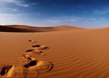 Mendulang Faidah dari Sunnah Nabawiyah