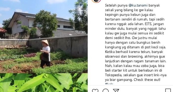 #MyBoldChoice, Haykal Kamil Bersyukur jadi Petani Kota