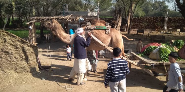 Travelogue, Life in Pakistani Village