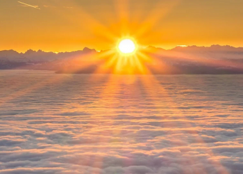 Orang Soleh pun Harus Ikhtiar