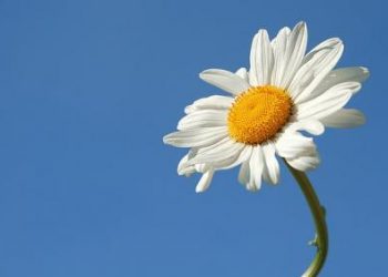 Adab Berdoa Agar Terkabul