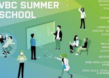 Beasiswa Summer School di Vienna Austria untuk Mahasiswa S1 dan S2
