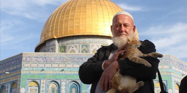 Perawat Kucing di Masjid Al-Aqsha Meninggal karena Covid-19
