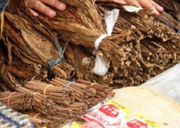 Menyoal Kenaikan Cukai Tembakau dan Vaksin Merah Putih