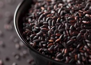 Perkuat Imun hingga Atasi Masalah Pencernaan, Ini Khasiat Air Tajin Beras Hitam