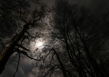 Petunjuk Nabi dalam Mengobati Ketakutan dan Stress