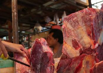 Kelangkaan Daging Sapi Harus Segera Diatasi