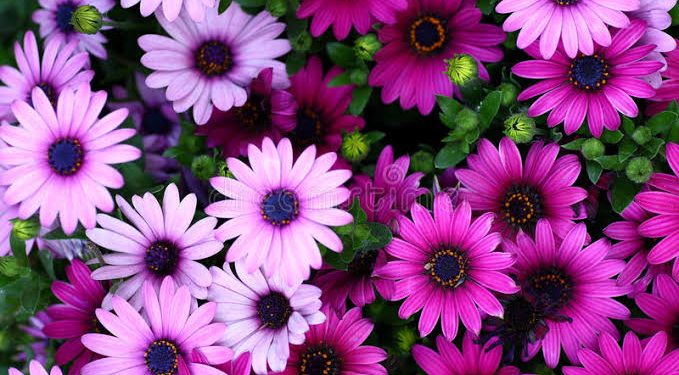 Menjaga Istri Berarti Menjaga Keluarga