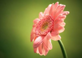 Ini Doa Memohon Akhlak Mulia dan Manfaat Menghafalnya