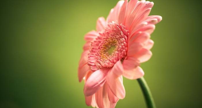 Ini Doa Memohon Akhlak Mulia dan Manfaat Menghafalnya