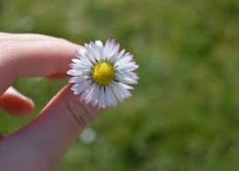 10 Bentuk Syukur Istri kepada Suami Berbalas Surga