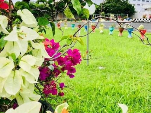 Setiap Masa Ada Ceritanya Masing-Masing