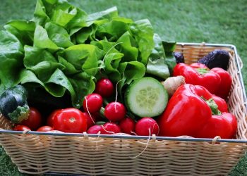 7 Langkah Mudah Meningkatkan Imun Tubuh