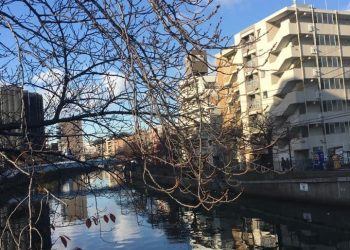 Nikmat yang Disyukuri